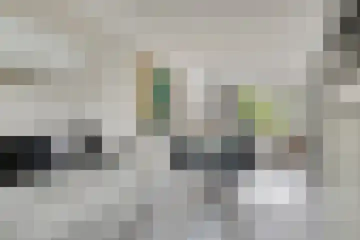 Amundsenstraat 2 Zuid-Beijerland thumbnail 21