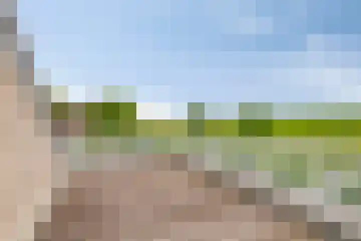 Amundsenstraat 2 Zuid-Beijerland thumbnail 30