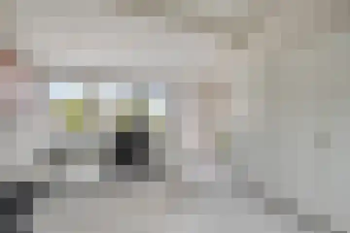 Amundsenstraat 2 Zuid-Beijerland thumbnail 36