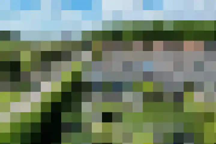 Amundsenstraat 2 Zuid-Beijerland thumbnail 39