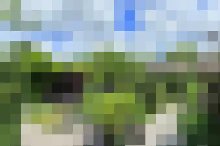 Amundsenstraat 2 Zuid-Beijerland thumbnail 41