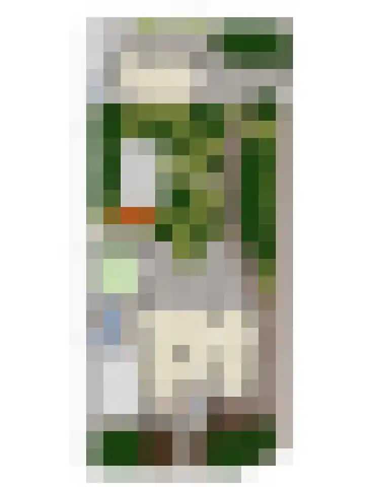 Amundsenstraat 2 Zuid-Beijerland thumbnail 67