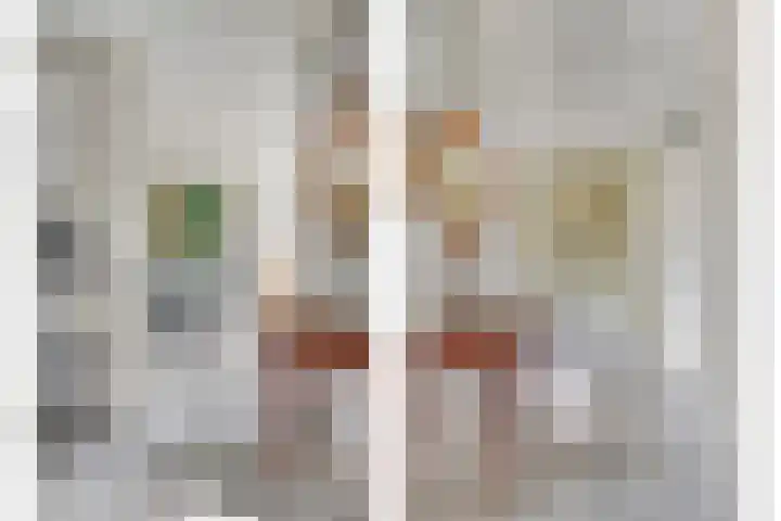 Amundsenstraat 2 Zuid-Beijerland thumbnail 7