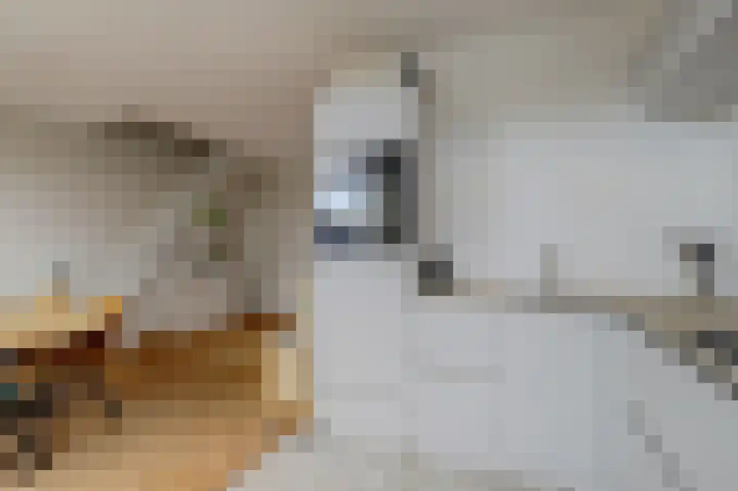 Amundsenstraat 26 's-Hertogenbosch thumbnail 16