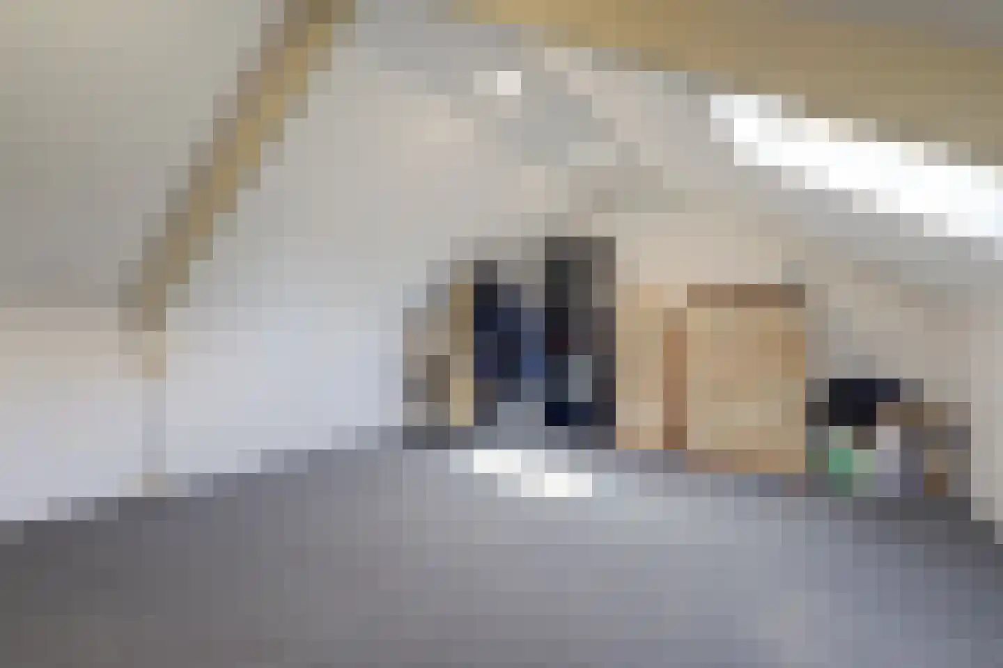 Amundsenstraat 26 's-Hertogenbosch thumbnail 30