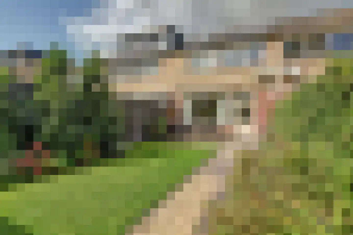 Amundsenstraat 26 's-Hertogenbosch thumbnail 32