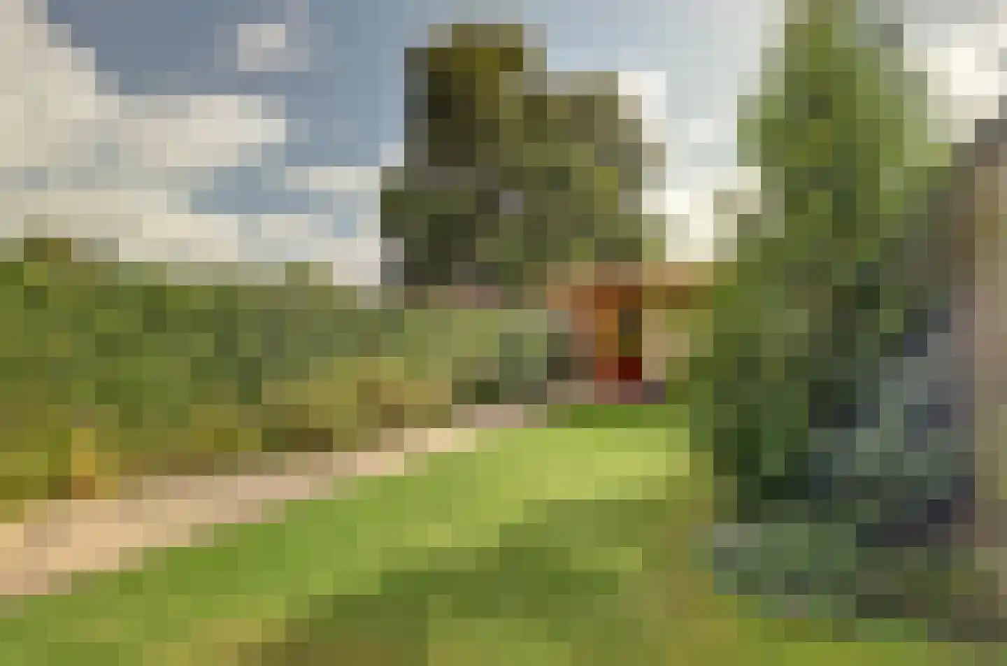 Amundsenstraat 26 's-Hertogenbosch thumbnail 34
