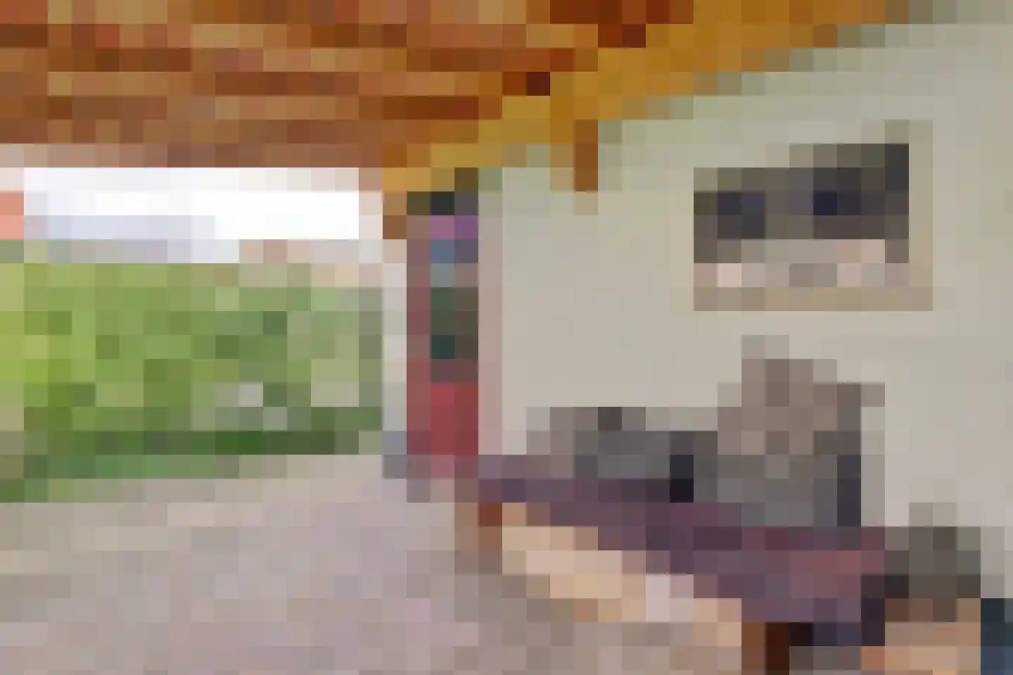 Amundsenstraat 26 's-Hertogenbosch thumbnail 36