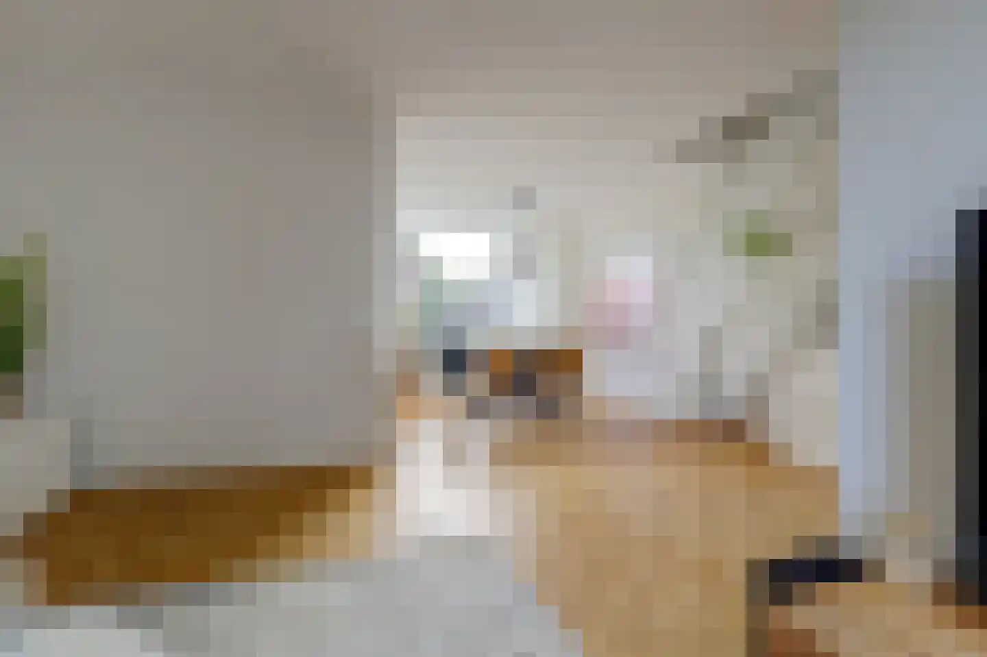 Amundsenstraat 26 's-Hertogenbosch thumbnail 9