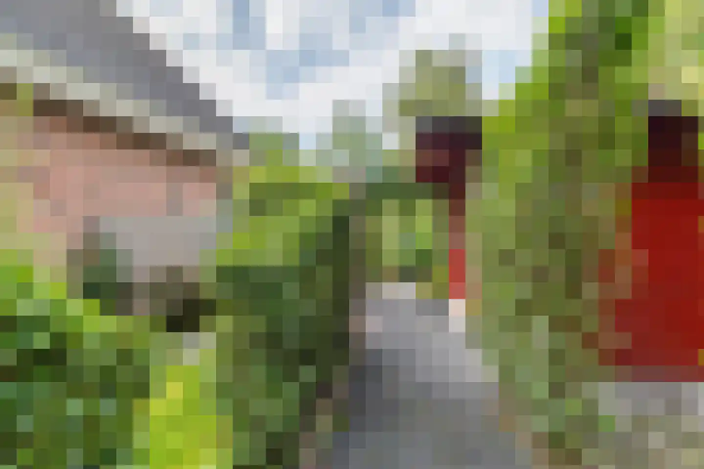 Amundsenstraat 35 Zuid-Beijerland thumbnail 31