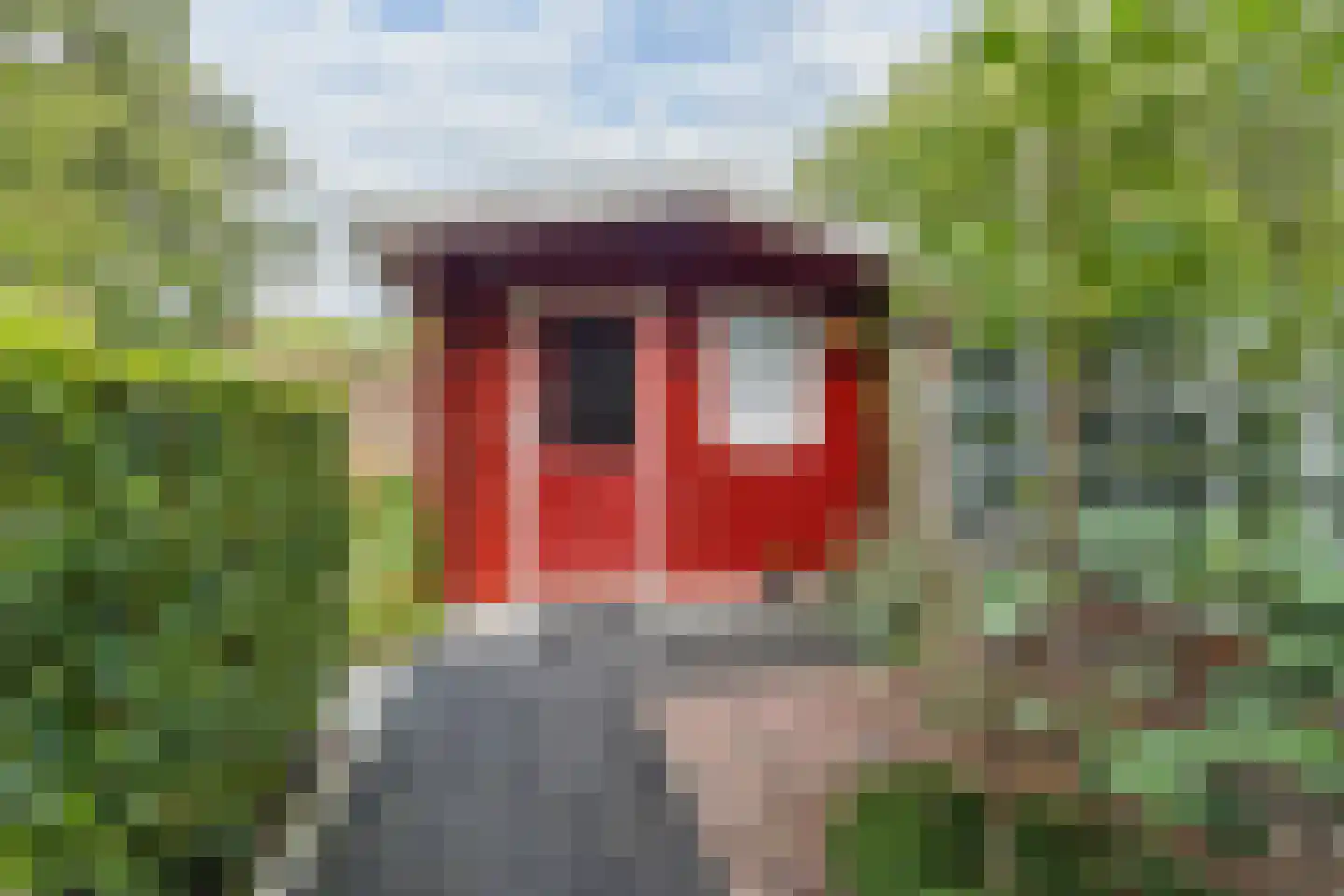 Amundsenstraat 35 Zuid-Beijerland thumbnail 32