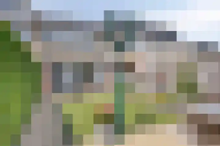 Amundsenstraat 36 's-Hertogenbosch thumbnail 12