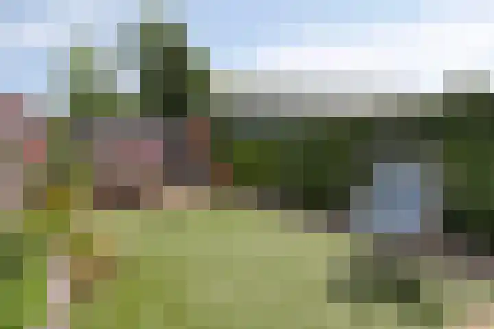 Amundsenstraat 36 's-Hertogenbosch thumbnail 13