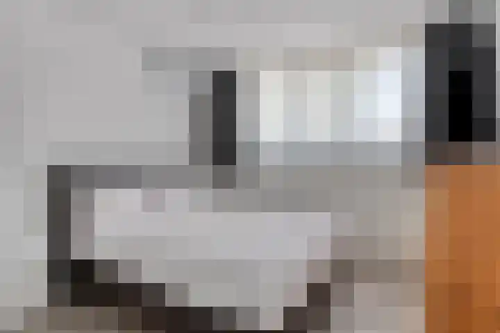 Amundsenstraat 36 's-Hertogenbosch thumbnail 21