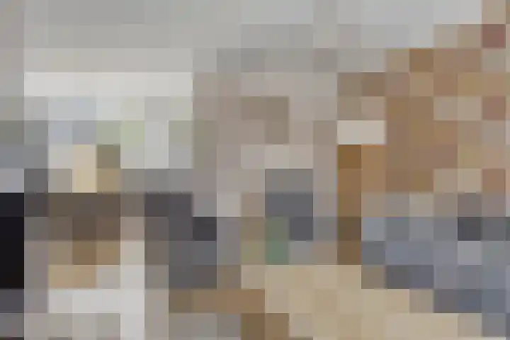 Amundsenstraat 36 's-Hertogenbosch thumbnail 6