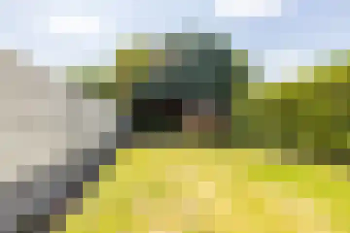 An de Voeëgelsjtang 29 Landgraaf foto 2