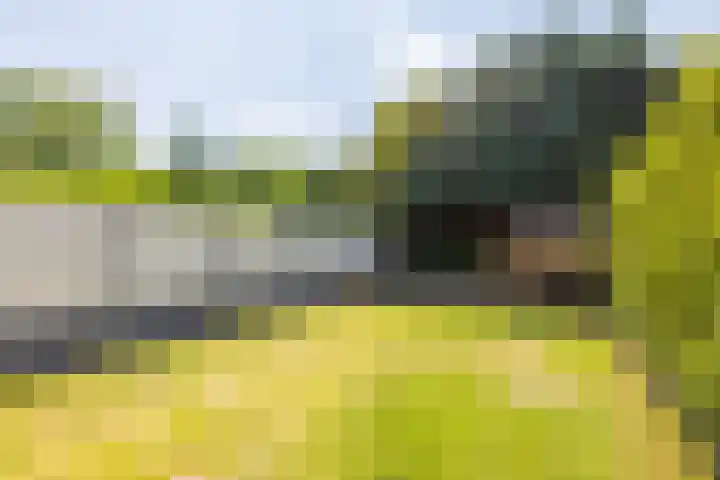 An de Voeëgelsjtang 29 Landgraaf thumbnail 30