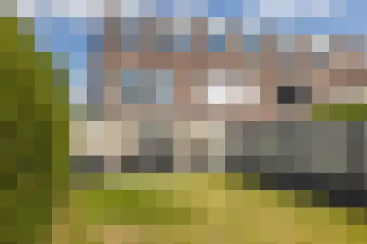 An de Voeëgelsjtang 29 Landgraaf thumbnail 31