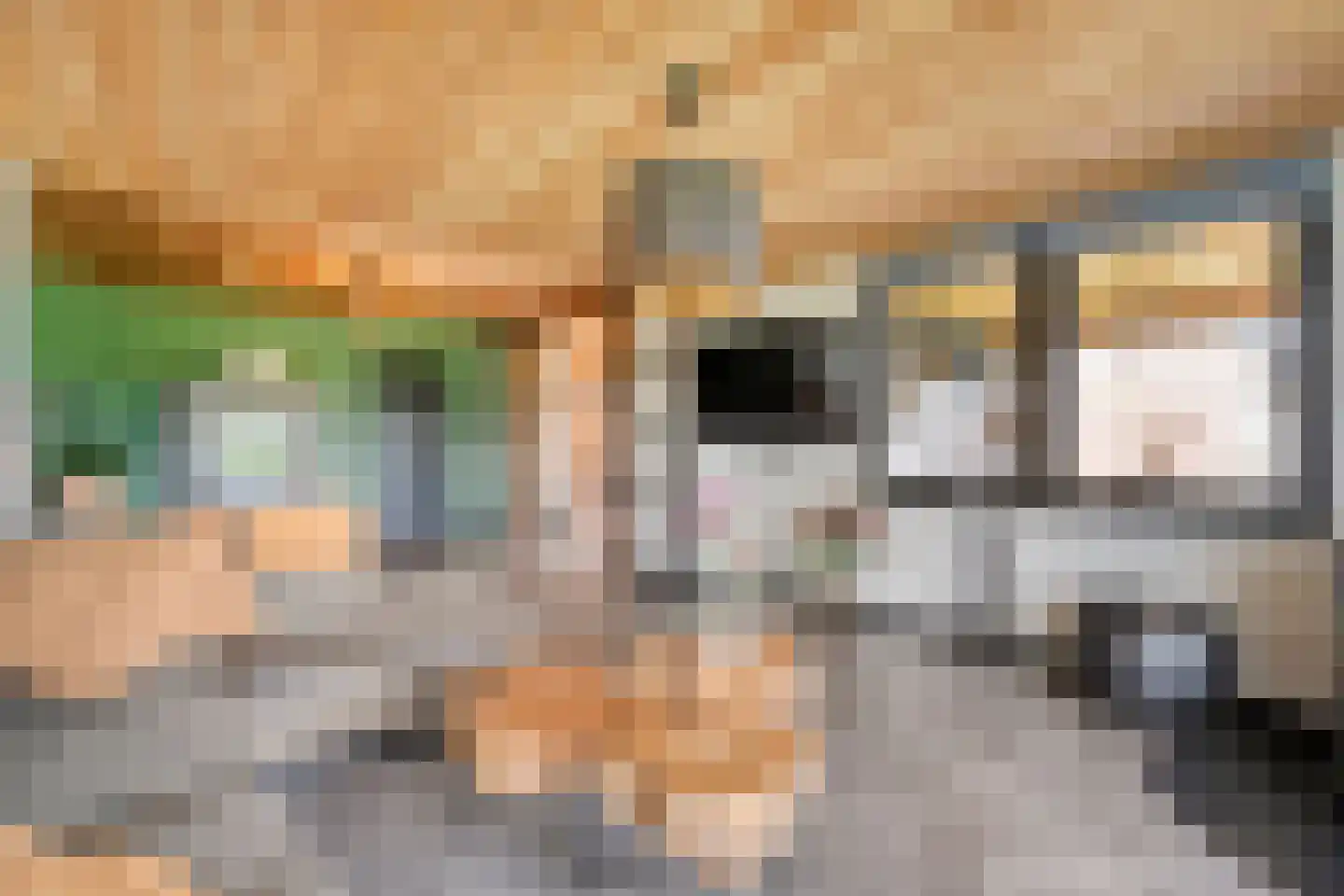 An der Itter 18 49847 Itterbeck, Duitsland thumbnail 24