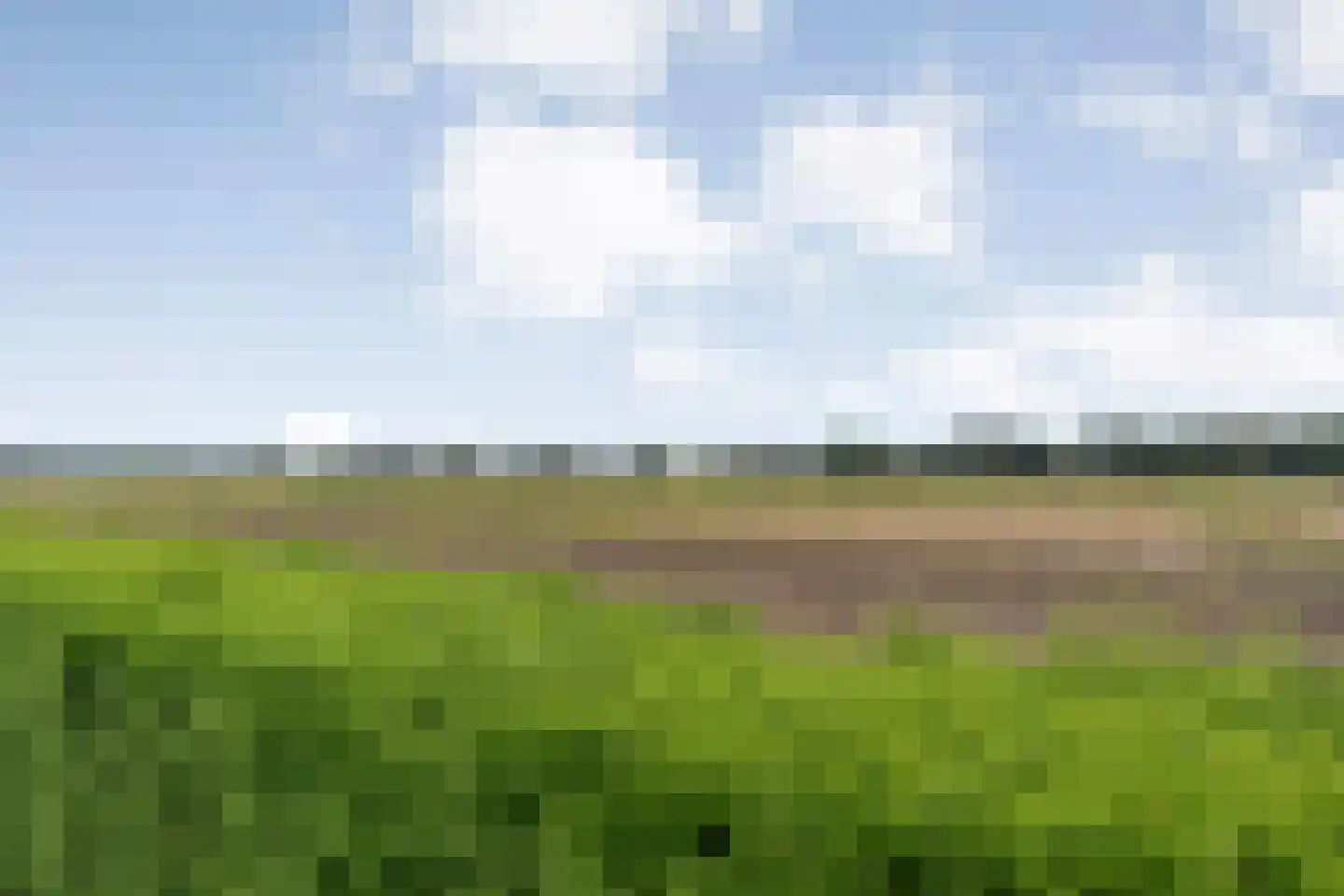 An der Itter 18 49847 Itterbeck, Duitsland thumbnail 55