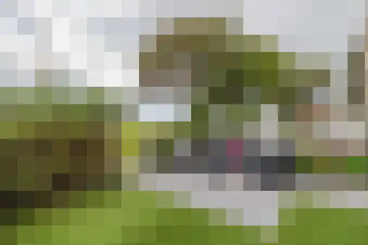 An van Gilsehof 31 Noordwijk thumbnail 19