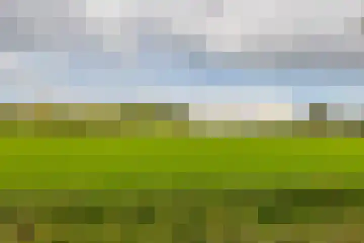 An van Gilsehof 31 Noordwijk thumbnail 21