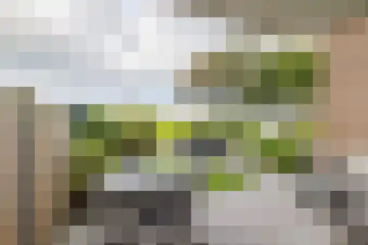 An van Gilsehof 31 Noordwijk thumbnail 4