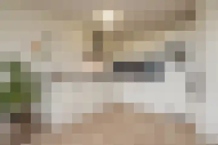 An van Gilsehof 34 Noordwijk thumbnail 12