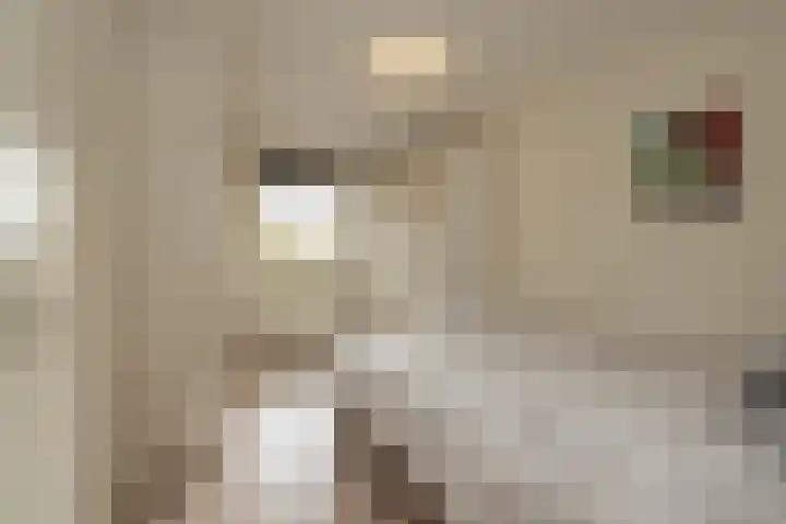An van Gilsehof 34 Noordwijk thumbnail 14