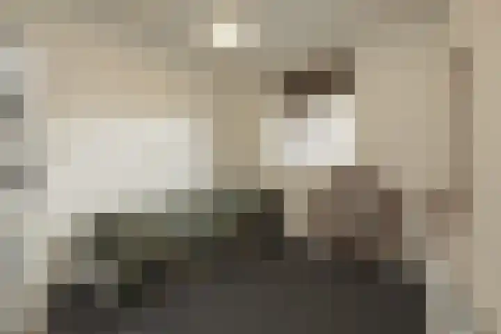 An van Gilsehof 34 Noordwijk thumbnail 19