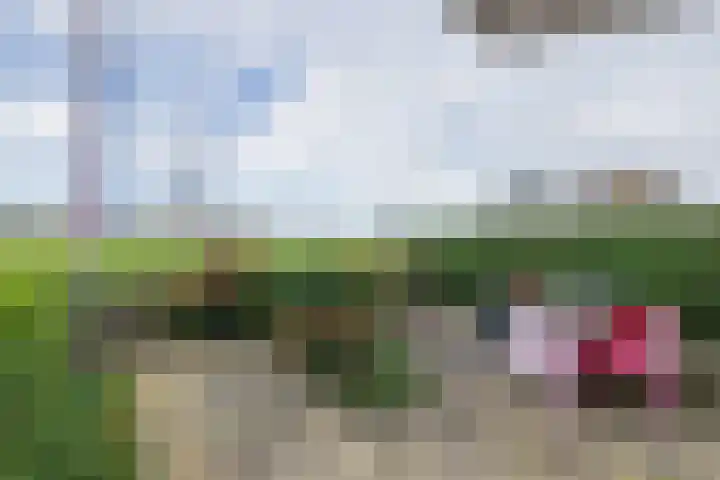 An van Gilsehof 34 Noordwijk thumbnail 22