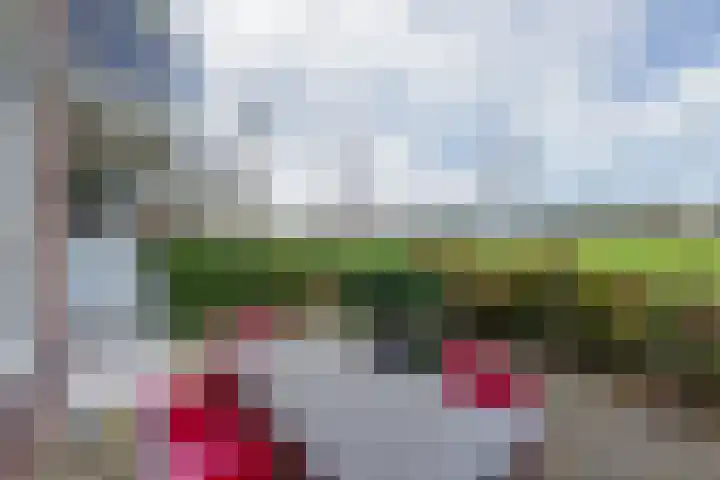 An van Gilsehof 34 Noordwijk thumbnail 23