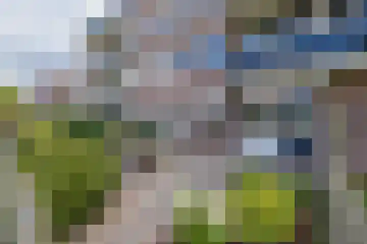 An van Gilsehof 36 Noordwijk thumbnail 23