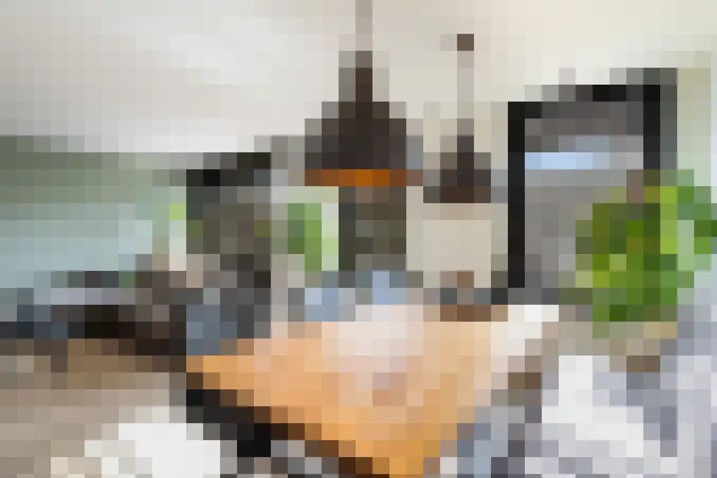 An van Gilsehof 46 Noordwijk thumbnail 10