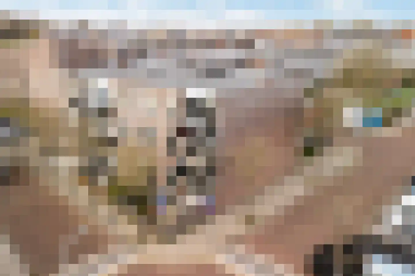 An van Gilsehof 46 Noordwijk thumbnail 37