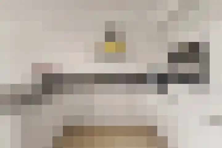 An van Gilsehof 51 Noordwijk thumbnail 12