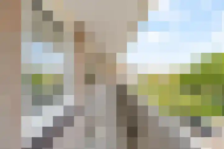 An van Gilsehof 51 Noordwijk thumbnail 24