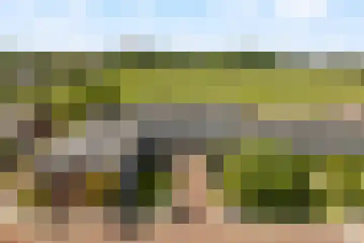 An van Gilsehof 51 Noordwijk thumbnail 31