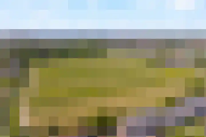 An van Gilsehof 51 Noordwijk thumbnail 32