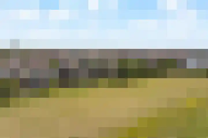 An van Gilsehof 51 Noordwijk thumbnail 38