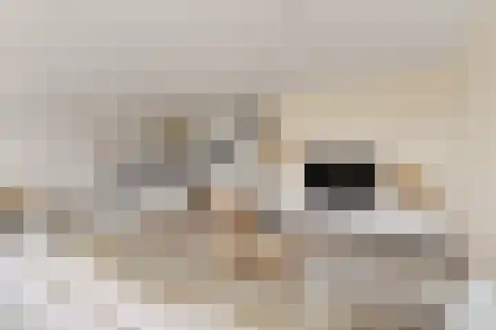 An van Gilsehof 51 Noordwijk thumbnail 6