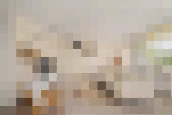 An van Gilsehof 51 Noordwijk thumbnail 7