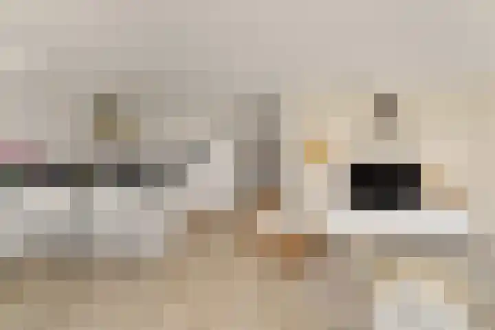 An van Gilsehof 51 Noordwijk thumbnail 8