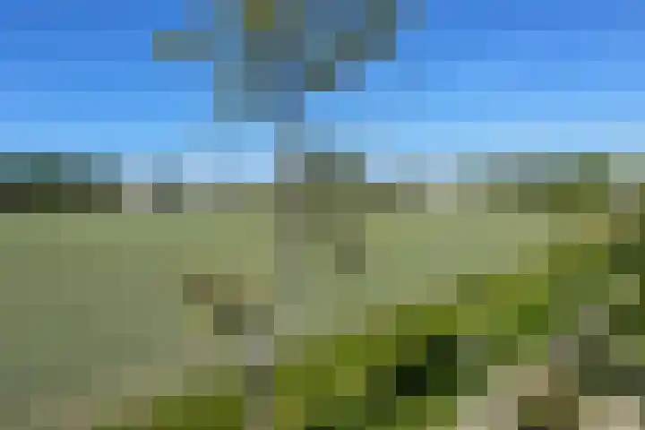 An van Gilsehof 53 Noordwijk thumbnail 14