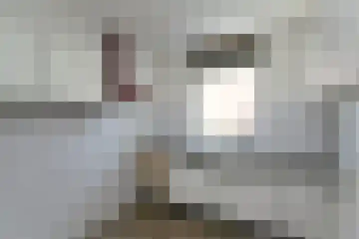 An van Gilsehof 53 Noordwijk thumbnail 6