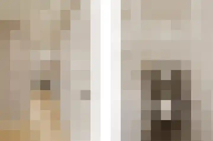 An van Gilsehof 6 Noordwijk thumbnail 12