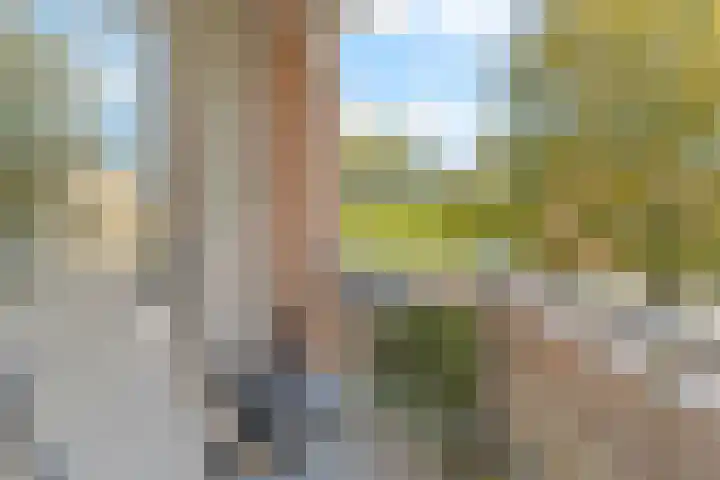 An van Gilsehof 6 Noordwijk thumbnail 22
