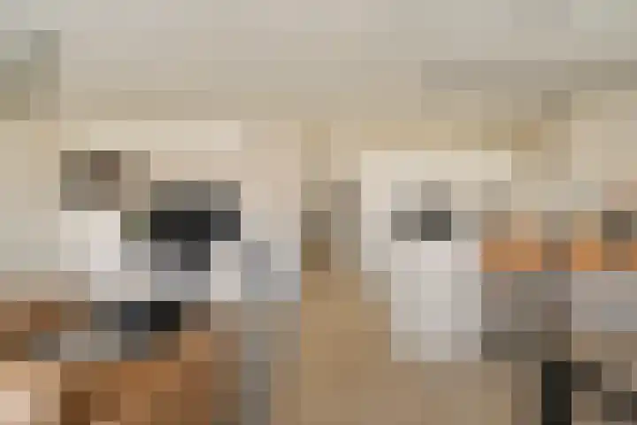An van Gilsehof 6 Noordwijk thumbnail 5