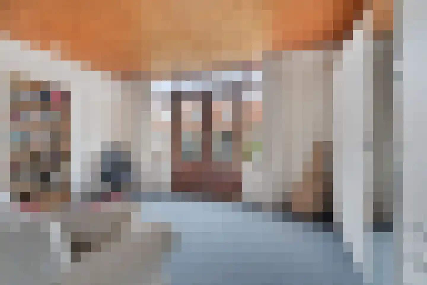 Ananasstraat 109 Den Haag thumbnail 57