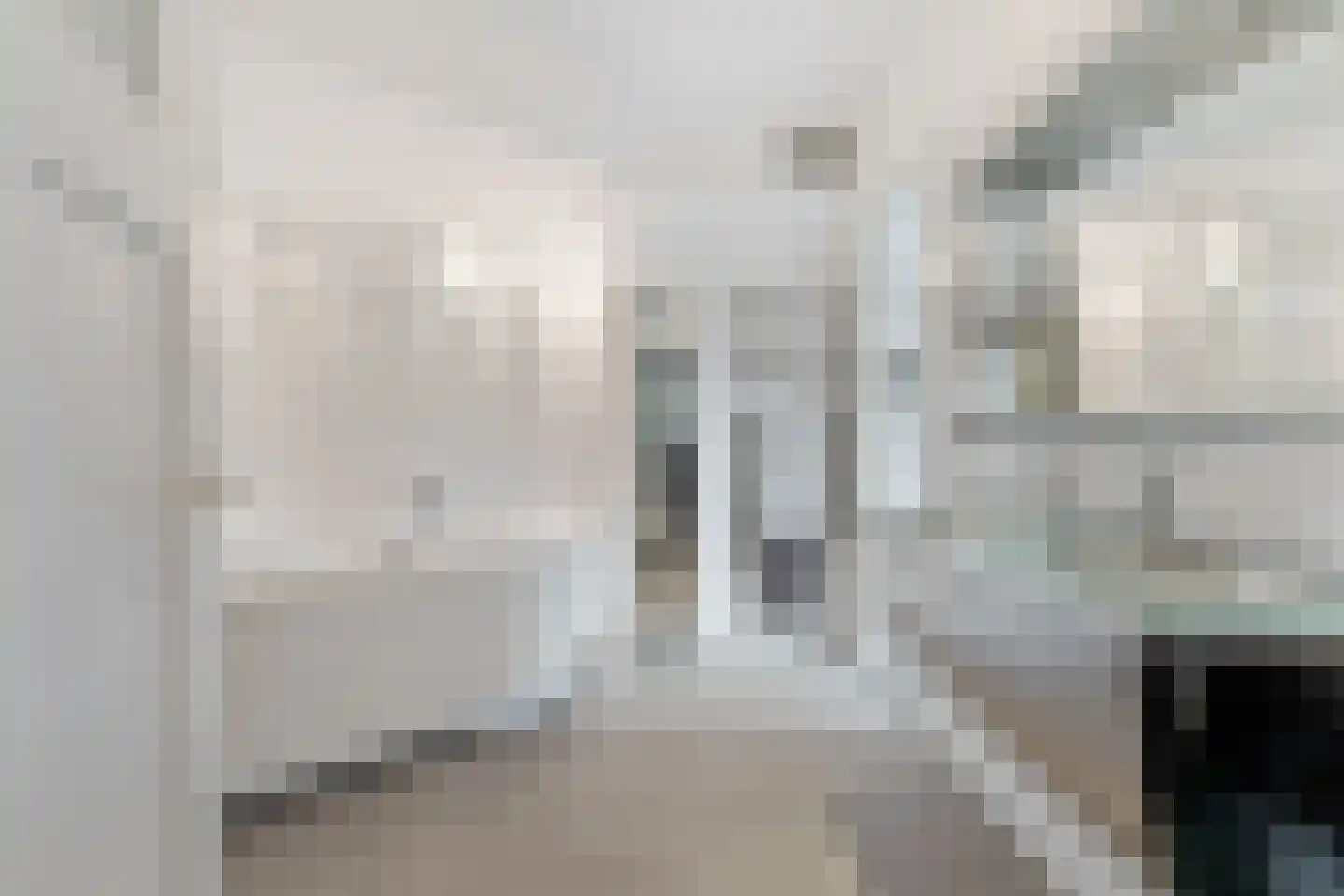 Ananasstraat 109 Den Haag thumbnail 71
